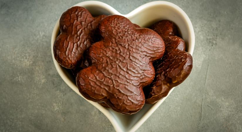 Utazás a puszedli világába