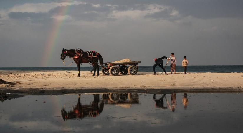 Gázai életképek, Zuckerberg fejű robotkutya, rengeteg retriever, kényszerleszállás az autópályán a hét képein