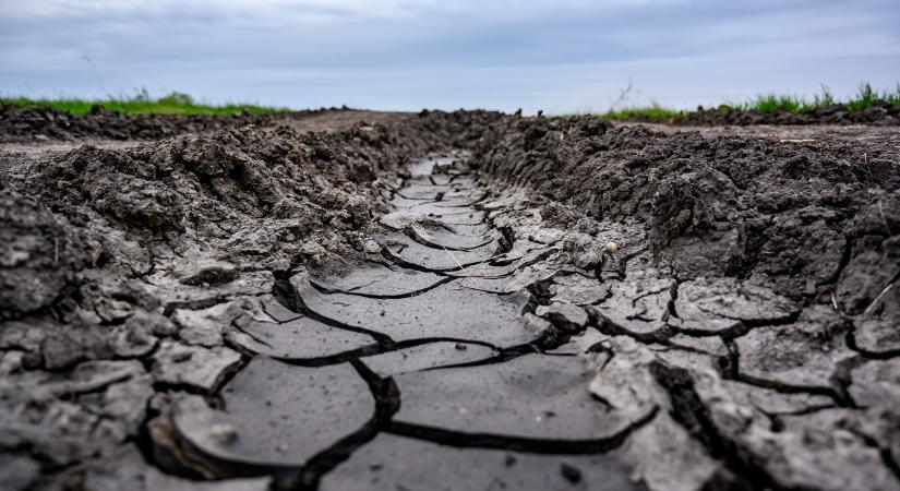 Érteni kell, mi van a felszín alatt