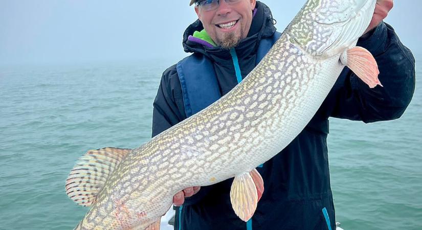 Hatalmas csukát fogtak ki a Balatonból (index.hu)