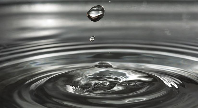 Új interaktív felületen mutatják be a természetközeli vízmegtartás megoldásait