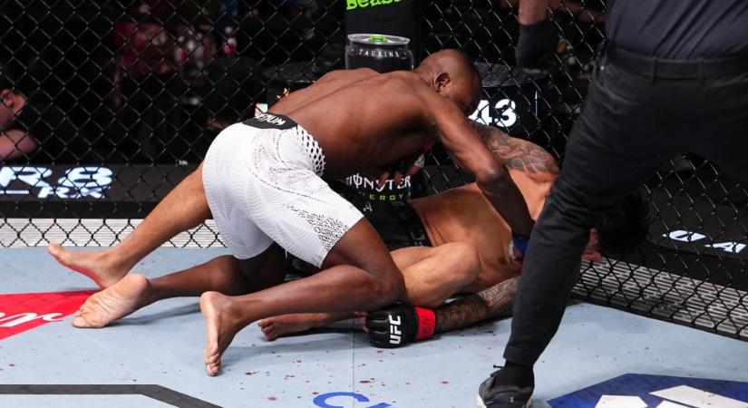 Rongybabaként csuklott össze a ketrecharcos a bekapott jobbhorogtól