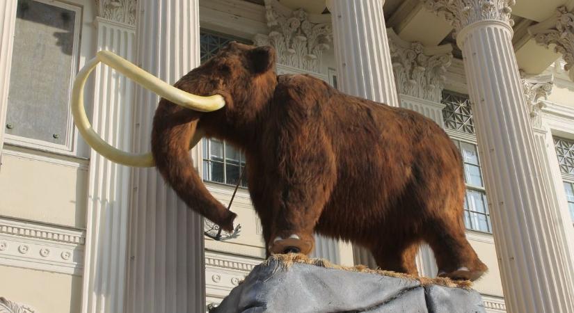 Manfréd vagy Batár? Most akár te is elnevezheted a Móra Ferenc Múzeum óriás sztárját
