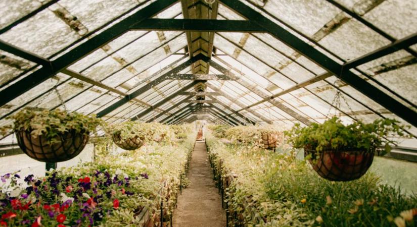 Télen is működik a föld alatti titkos kert: a walipini olyan, mint egy fáraó eltemetett kincse