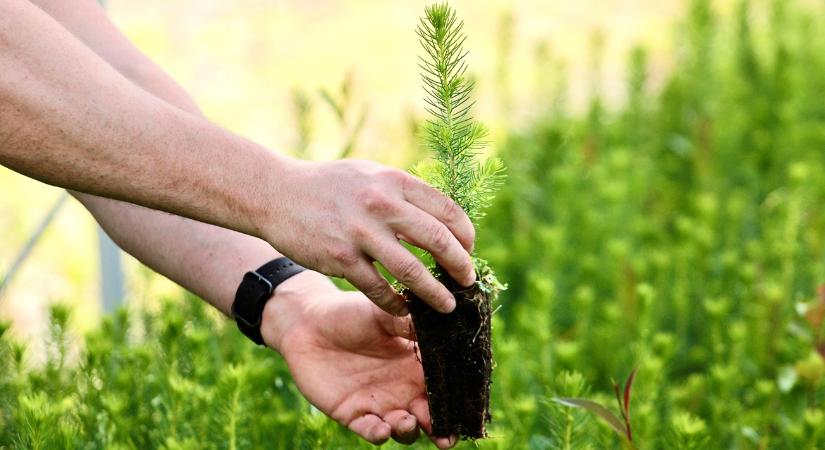 Ez lesz az egyik legfontosabb vagyon hamarosan