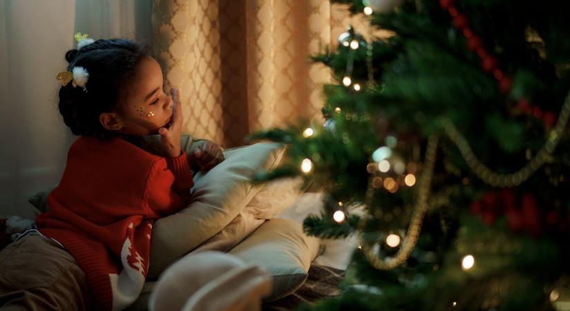 Karácsonyi gasztroajándékok biztonságosan a Nébih tanácsaival