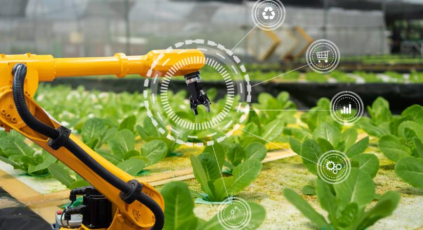 Változtatniuk kell a magyar gazdáknak, de nem lehet mindenen spórolni