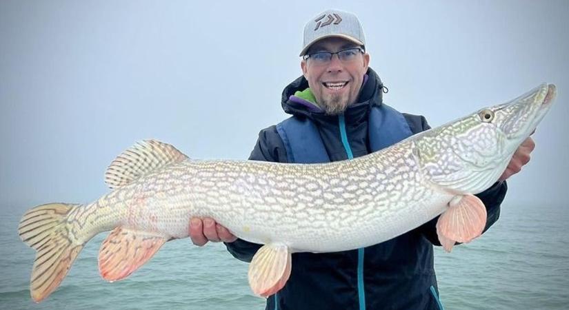 Hatalmas fogás: nem várt helyen döntötte meg balatoni csukarekordját Nagy Gábor