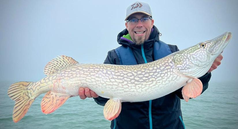 A csuka is tudta, ki a főnök!