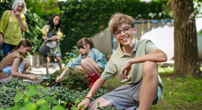 A zöld munka beérett: elismerés érkezett a közösségnek
