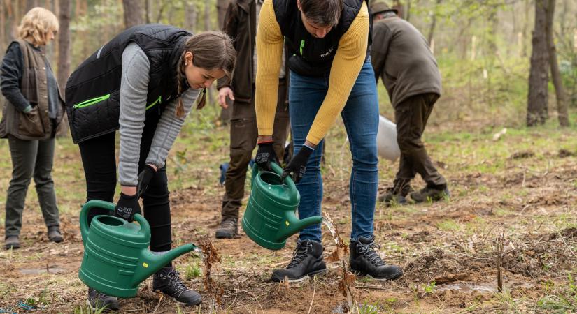 Piacvezető szerepben a fenntarthatóság terén is: megjelent a Market Csoport 2024-es ESG jelentése