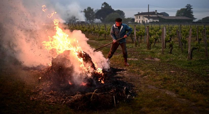 Nemcsak a saját családunk, hanem az egész falu egészségében kárt tehet az avarégetés