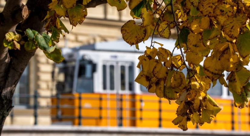 Villamosbaleset miatt áll a forgalom a pesti rakparton