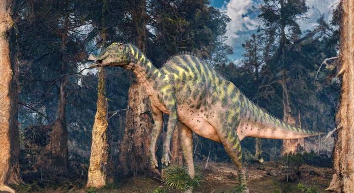 Játszani indult, dinoszauruszcsonttal tért haza ez a kisfiú