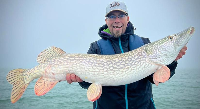 Ritka fogás a Balatonból: méter feletti csuka a keleti medencéből