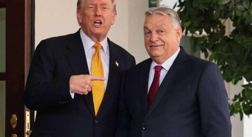 Donald Trump és az ő új nemzetbiztonsági stratégiája, avagy Európa elárulása és a választás