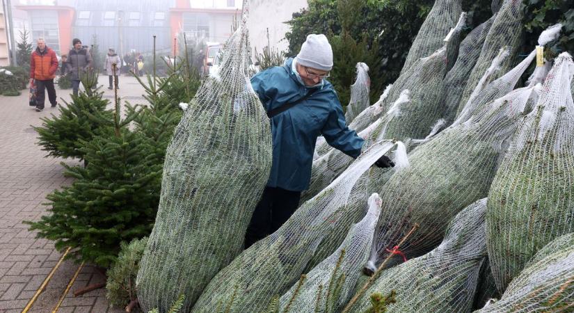 Akár el is kobozhatják az árut az ellenőrök a vásárokban