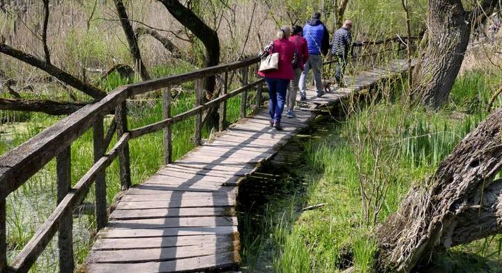 Ha ezt az állatot láttad, azonnal jelezd: hatalmas kárt okozhat