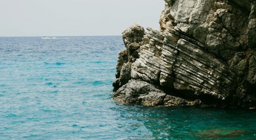 Egy turista szerencsés, hogy életben van, miután megfogta az apró polipot