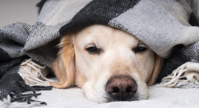 Nem épp átlagos időjárás jön: mutatjuk, hol, mi vár ránk itthon