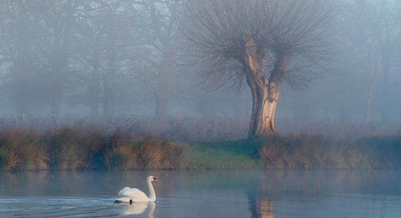 Holnap sem szabadulunk a ködtől - ilyen lesz az időjárás hétfőn