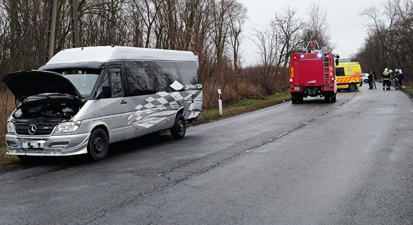 Szarvasok miatt több autó ütközött össze, halasi dílerek kezén is kattant a bilincs