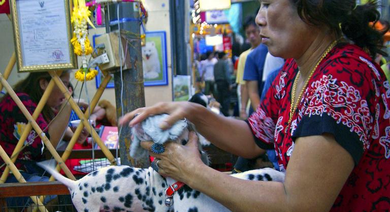 Ebben az ázsiai nagyvárosban már tilos kutya-, macska- és denevérhúst árulni