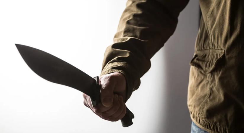 Drogos férfi ölt meg két nőt egy borzalmas machetés támadásban