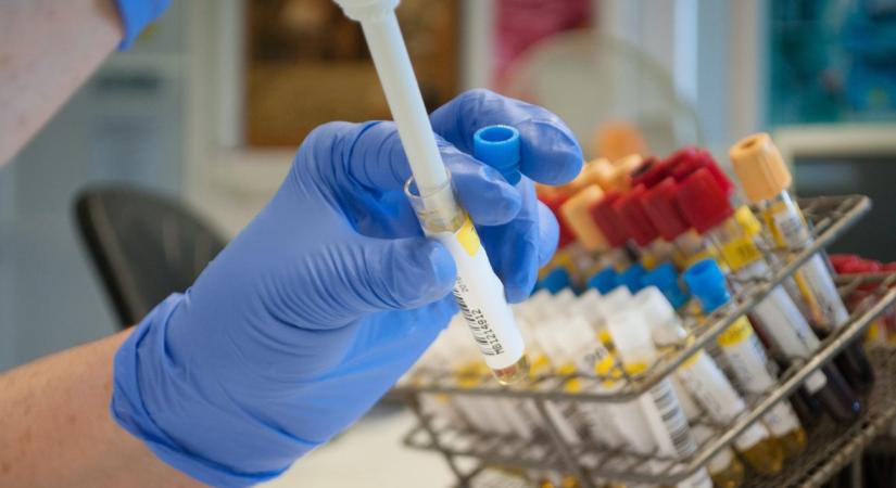 Magyarországon is kimutatták az új típusú influenza A vírust