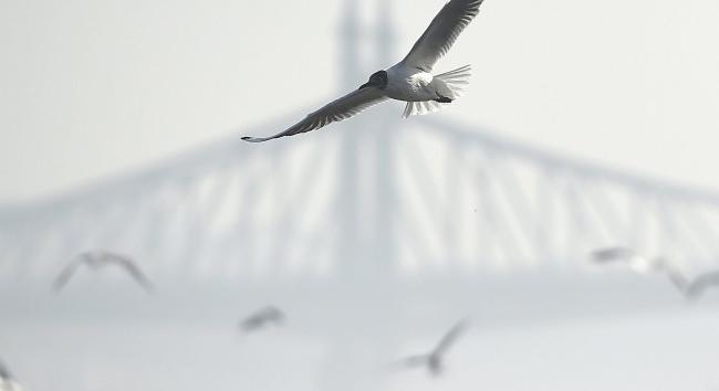 Hétfői időjárás-előrejelzés: nem kedvez az ünnepi hangulatnak