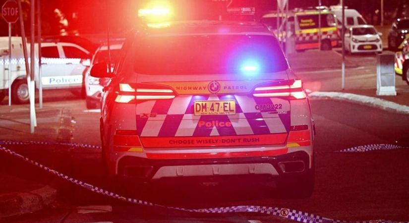 Ebben az évben tragikus rekordot döntöttek az aljas gyilkosok