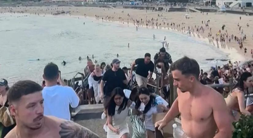 „Mindenki eldobott mindent, és futni kezdett, az emberek zokogtak. Borzalmas volt”