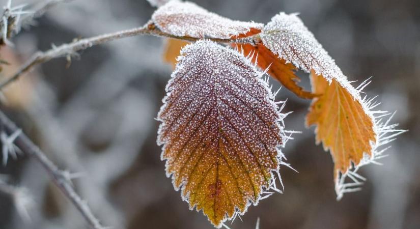 Hétfői időjárás: ködös szitálás