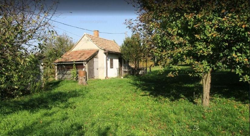 Zöld utat kaptak a zártkerti ingatlanok a művelés alóli kivonáshoz