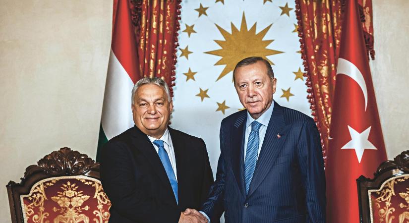 Lóvásár pangás idején