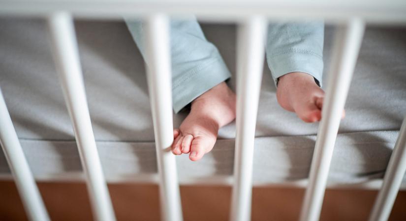 „Ők nem kiscicák, akik bekerülhetnek a karácsonyfa alá” – tömegesen hagytak idén csecsemőket a kórházakban