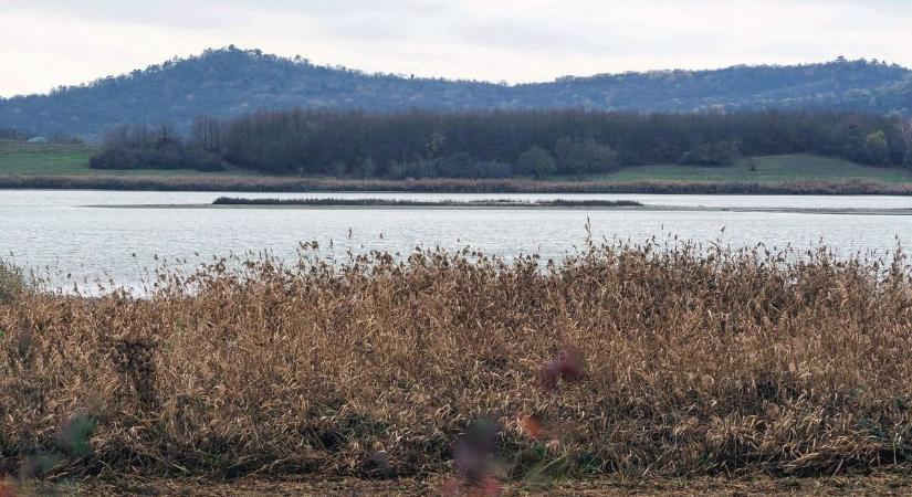 Ború, köd és nyirkos hideg: ilyen idővel indul a hét