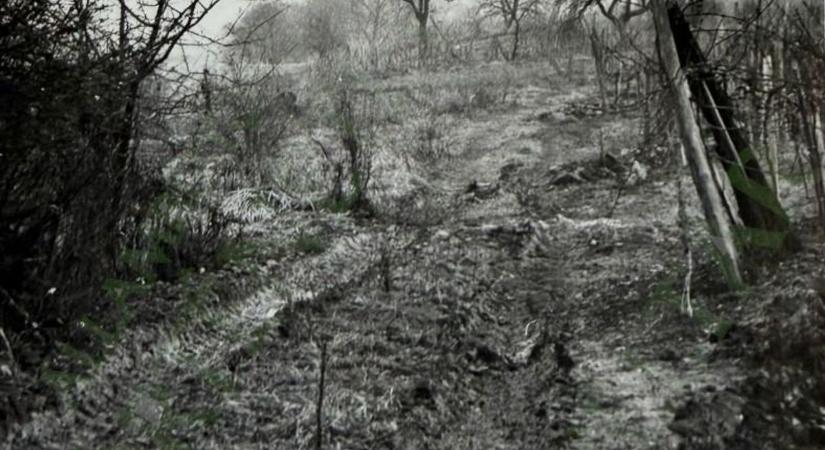 Fegyver és lőszer a földön, irány Ausztria: egy határőr eltűnésének aktája