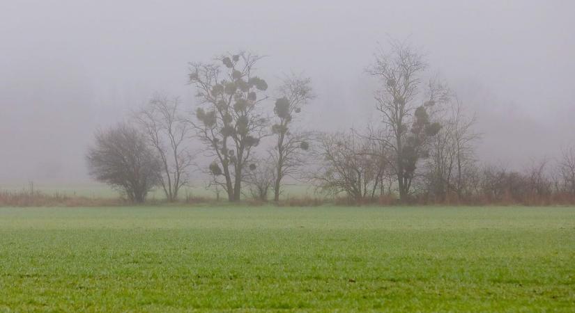 Hétfőn is csak a szerencsések láthatják a napot