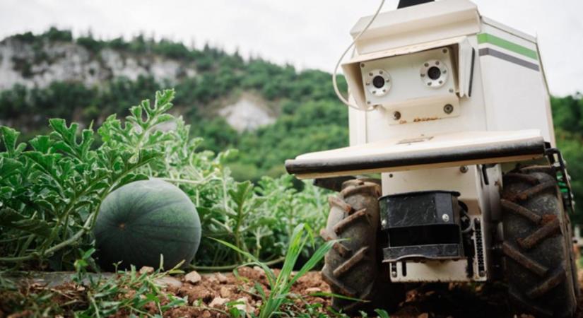Száztizenöt robot egy könyvben – ha érdekel a jövő, ezt el kell olvasnod!