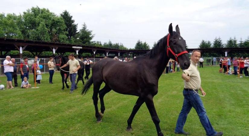 Orbán újabb orbitális hazugsága
