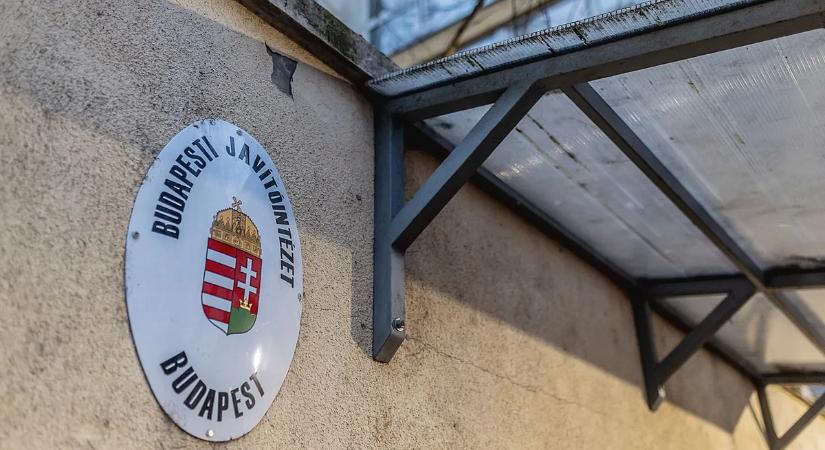 Ők a Szőlő utca lakói: erőszak, emberölési kísérlet, fegyveres rablás