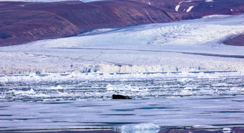 Visszafordíthatatlan az Északi-sarkvidék melegedése