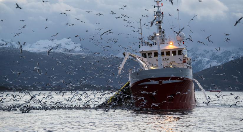 Megállapodtak az EU tagállamai: erre kell készülni 2026-tól