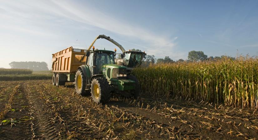 Változnak a játékszabályok: új korszak kezdődik a kukoricatermesztésben?