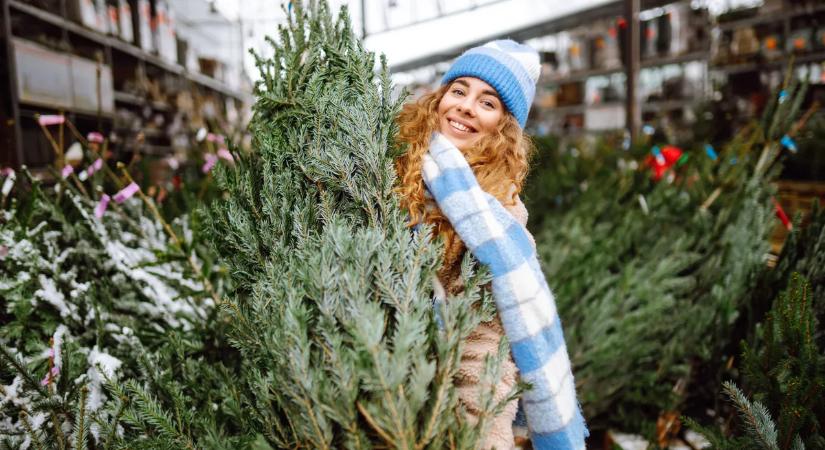 Műfenyő vagy igazi? Erre nagyon figyelj a karácsonyfa kiválasztása során