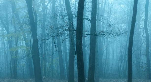 Folytatódik a párás, borús, de viszonylag enyhe idő