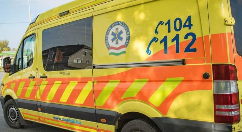 Ezt minden szülőnek látnia kell: így mentette meg édesanyja életét egy négyéves kisfiú – videó