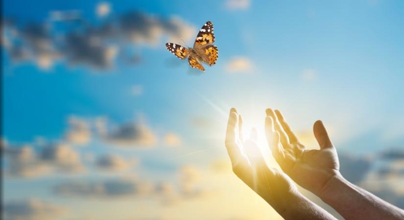 Elengedni nem gyengeség, hanem erő