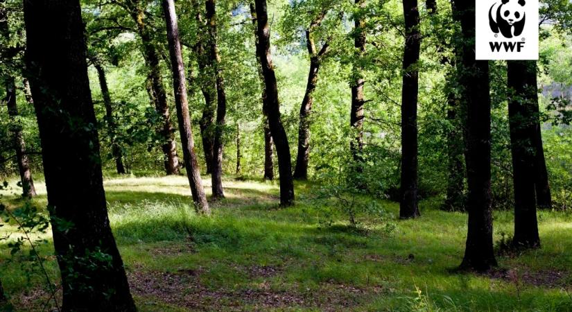 Élőhely-rekonstrukció: üzleti kockázatból versenyelőny